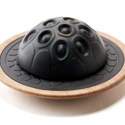 Makarlu Medium Seed Pod On Spotted Gum Base